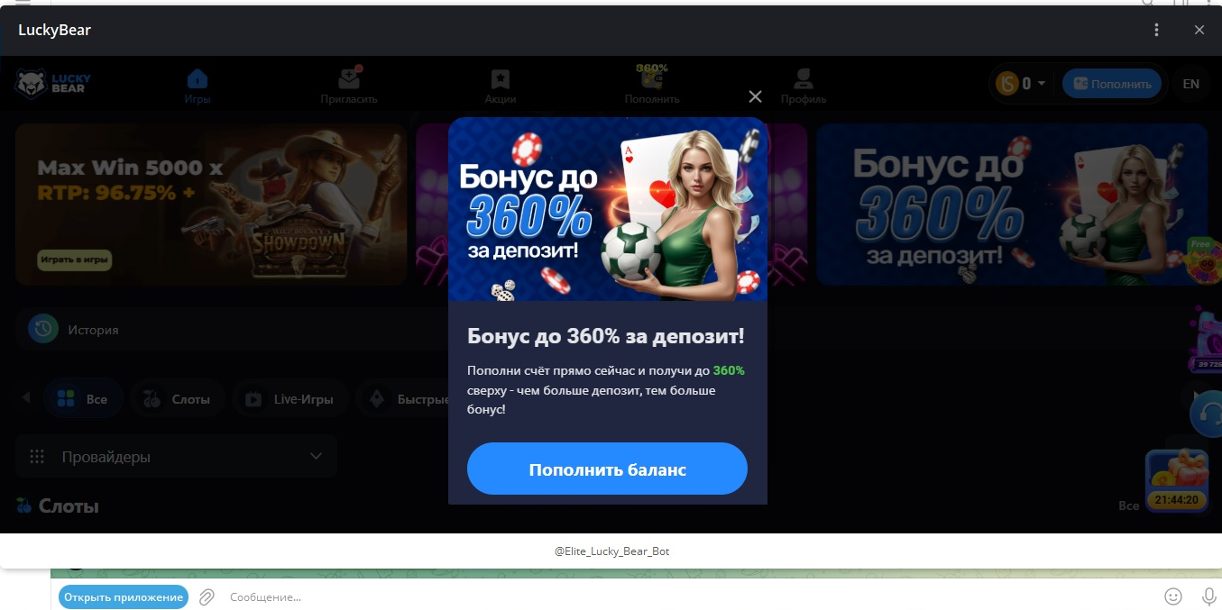Предложение бонуса при запуске Lucky Bear Casino